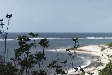 Captura de Tela 2025-11-26 às 10.41.36