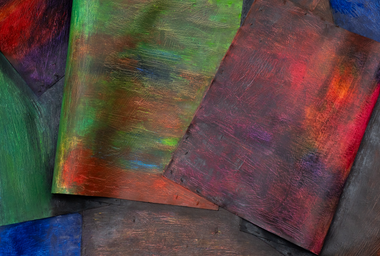 TK00256_tadáskía_mudada casca de cor II _ changed color shell II_Ph Eduardo Ortega_DDM_2