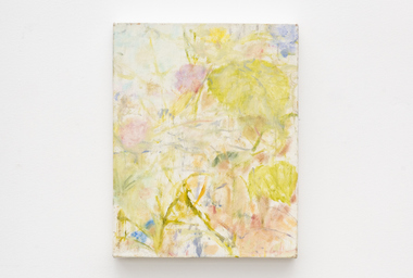 2026-02-09_Galpão-038