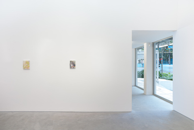 WW_Purple apple_Ph Eduardo Ortega_DDH 7