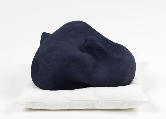 Captura de Tela 2026-03-25 às 11.21.31