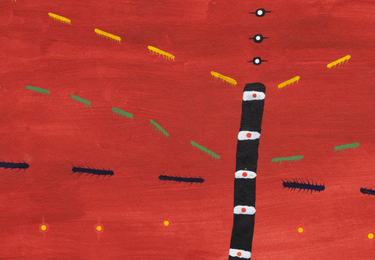 SHA00145_Sheroanawe Hakihiiwe_Hii hi himo thapiri (Sueño de palo de frutas)_Ph Eduardo Ortega_DDH