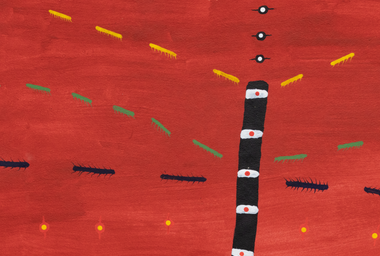 SHA00145_Sheroanawe Hakihiiwe_Hii hi himo thapiri (Sueño de palo de frutas)_Ph Eduardo Ortega_DDH