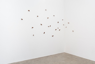 EA10052_Efrain_Almeida_Untitled_Ph_Eduardo_Ortega_DDM_1