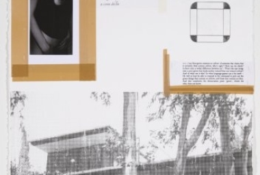 JS10051_111. Neutra Yellow_DDR1.jpg