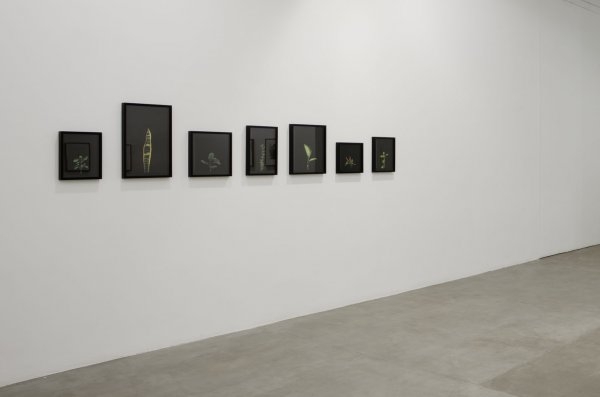 Exposição Fortes Vilaça 2010_DDR03.jpg