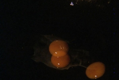 JMP00062_Ovo Estrelado_DDR01.jpg