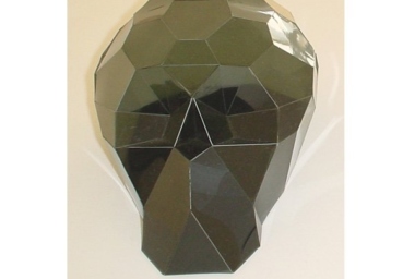 cranio de primata.jpg