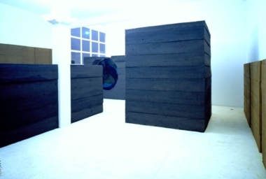 luz negra peca 3.jpg