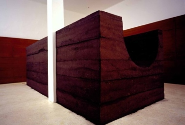 luz negra peca 2.jpg