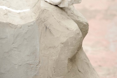 Bicho de Sete Cabeças - 2010_DDR18.jpg