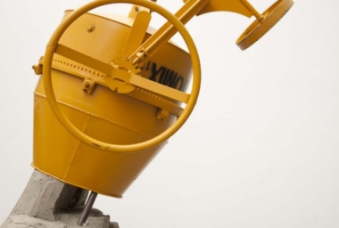 Bicho de Sete Cabeças - 2010_DDR13.jpg