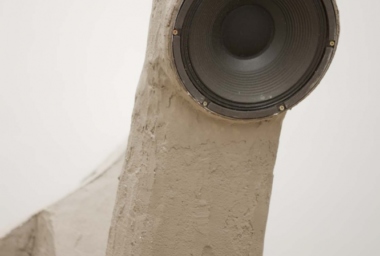 Bicho de Sete Cabeças - 2010_DDR11.jpg