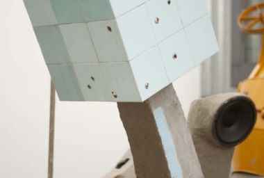 Bicho de Sete Cabeças - 2010_DDR10.jpg