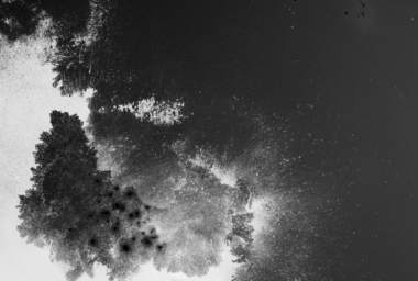 oil spill P e B IMG_3014.jpg