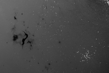 oil spill P e B IMG_3025.jpg