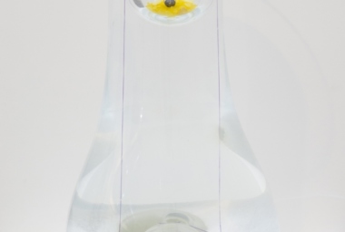 CB00127_Primeiro Sonho_DDH.jpg