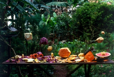 JMP00098_Poliedro de Frutas.jpg