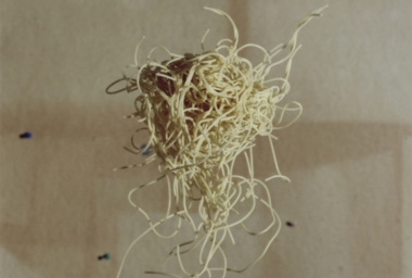 JMP00199_Esparguete a Voar.jpg