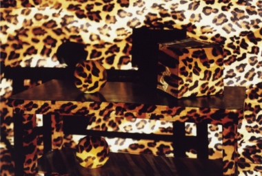 JMP00236_O Problema de Molyneux_DDH.jpg