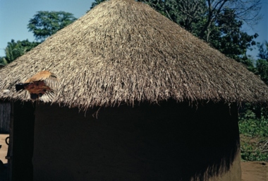 JMP00135_Strange Chicken and Hut - Galinha Estranha e Cabana_DDR.jpg