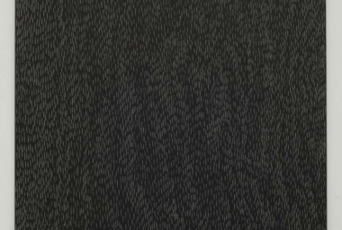 IES10461_Wood - fragment_DDR.jpg