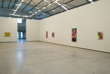 BM_O Circulo e seus amigos _ Galpao Fortes Vilaca_DDH_8.jpg