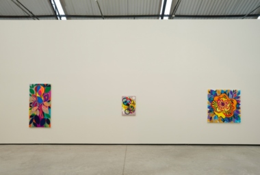 BM_O Circulo e seus amigos _ Galpao Fortes Vilaca_DDH_13.jpg