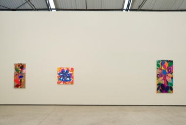 BM_O Circulo e seus amigos _ Galpao Fortes Vilaca_DDH_12.jpg