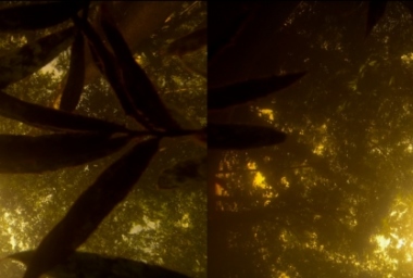 The Ghost in Between_9.jpg