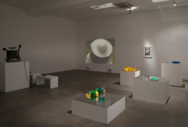 MH_A Abelha, o Papaio e a Onça_DDH_10.jpg