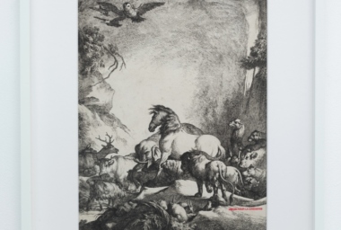 MH00157_Assembly of Animals - Union pour la Cinegenie_DDH_cropped.jpg