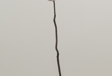 ART00045_Rama 3_DDH_1.jpg