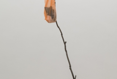 ART00043_Rama 1_DDH_1.jpg