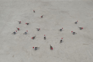 EA10154_Uma coisa linda_DDH_8.jpg