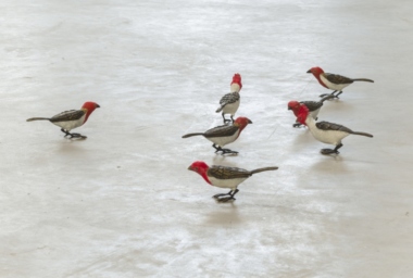 EA10154_Uma coisa linda_DDH_17.jpg