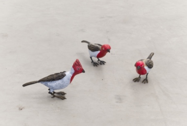 EA10154_Uma coisa linda_DDH_11.jpg