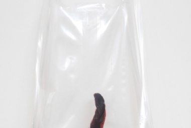 ROC00158_Tipico Capital_DDH.jpg