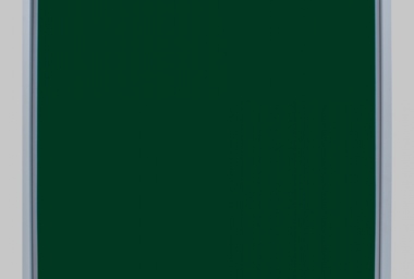 MH00151_Forest (Amazonia 28)_DDH.jpg