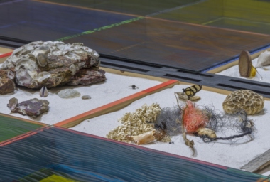 LZ10178_Natureza Espiritual da Realidade_5.jpg