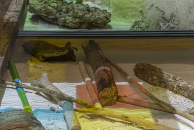 LZ10178_Natureza Espiritual da Realidade_10.jpg