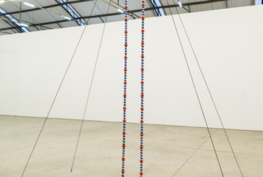 LEN00074_Pau-bonito (Trave Pirulito)_DDH_1.jpg