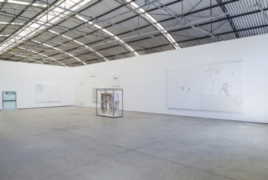 2015_Easy, Fractals & Star Map_Galpao Fortes Vilaça_DDH_1.jpg