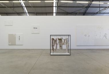 2015_Easy, Fractals & Star Map_Galpao Fortes Vilaça_DDH_5.jpg