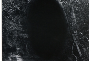 RR10000_Tropical II_DDH.jpg