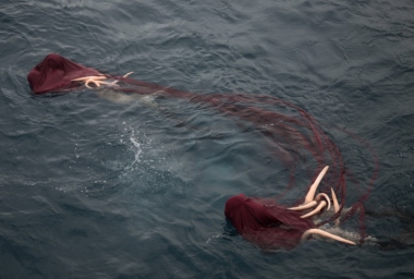 JT10493_Dormant (Bipolis).jpg